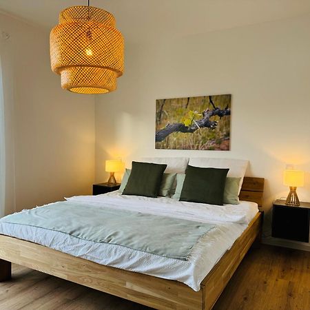 Moderne Ferienwohnung Mit Terrasse, Grill & Privatparkplatz Venningen Zewnętrze zdjęcie